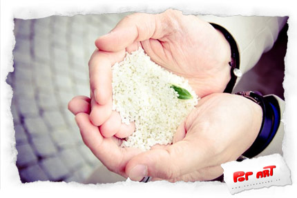 Scegli l'album per il tuo matrimonio